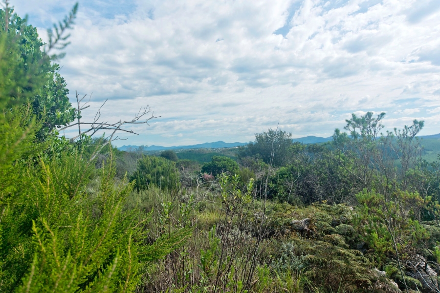 Commercial Property for Sale in Pezula Private Estate Western Cape